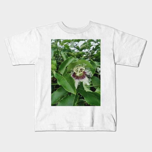 passion fruit flower, green leaves, plant photograph Kids T-Shirt by MarJul